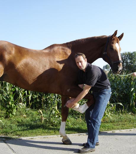 Pferdeklinik - Dr. Steffen Gremmes mit Pferd